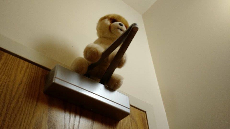 11268018_10152796119050356_1763942791_n